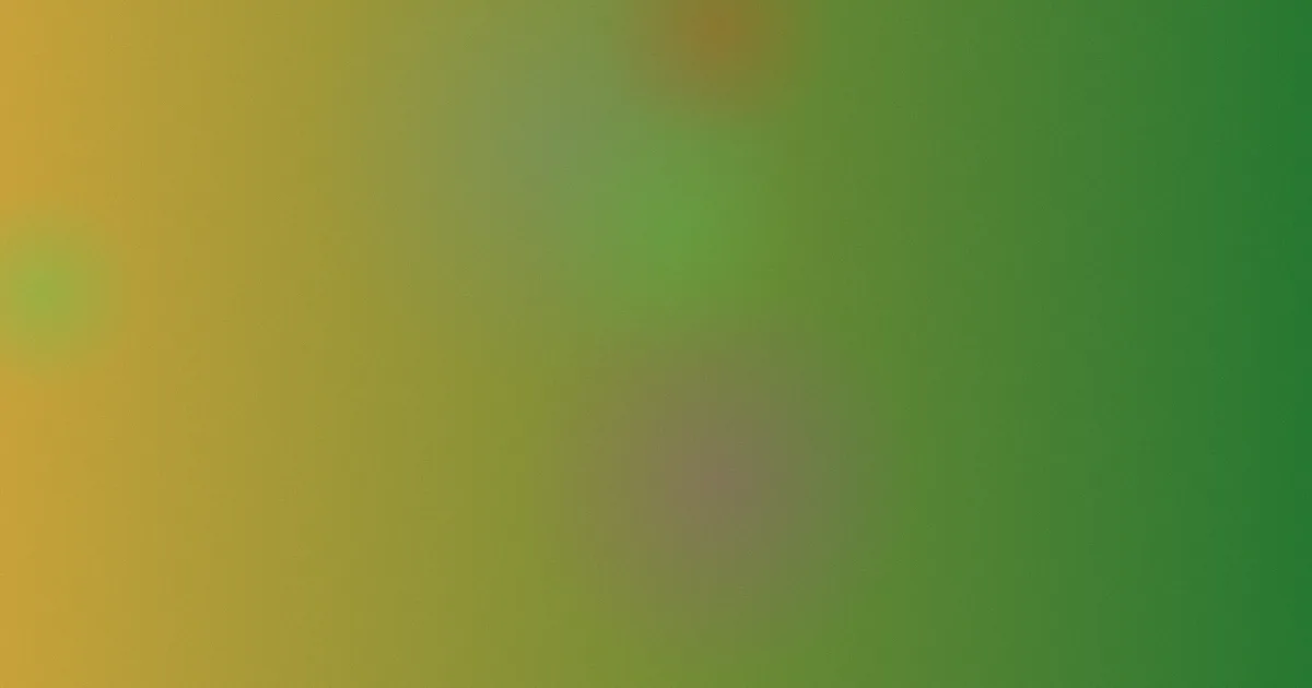 真三国无双推荐：新手从哪一作入坑